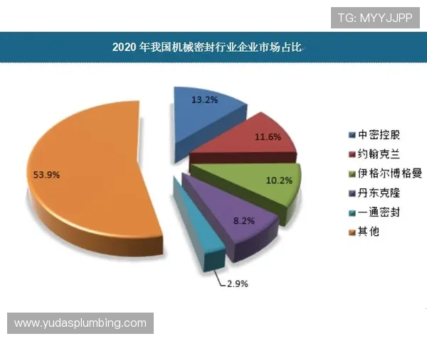 了解bg视讯的国家归属及其在国际市场中的地位分析